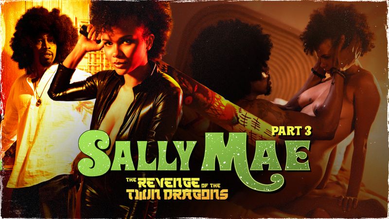 Sally Mae: the Revenge of the Twin Dragons: Part 3